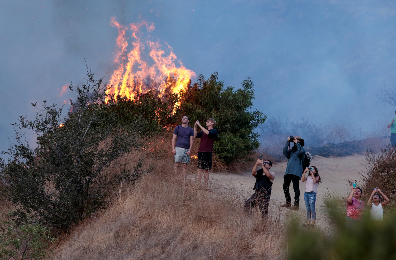 Analyzing The Market For Wildfire Bets In Los Angeles