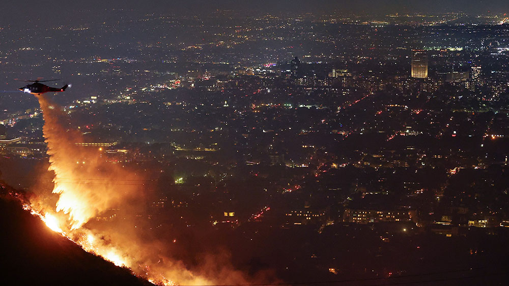 Gambling On Catastrophe: The Case Of The Los Angeles Wildfires Gambling On Catastrophe: The Case Of The Los Angeles Wildfires