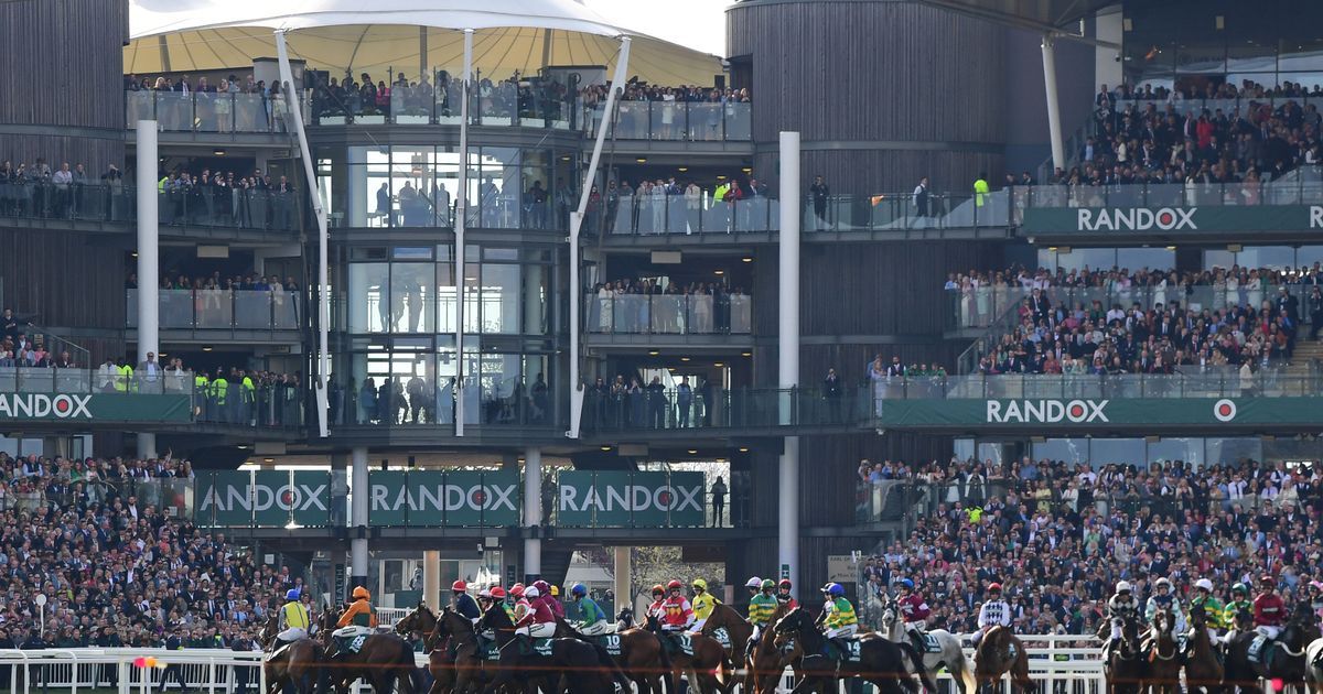 Grand National Horse Deaths: A Look At The Statistics Before 2025 Grand National Horse Deaths: A Look At The Statistics Before 2025