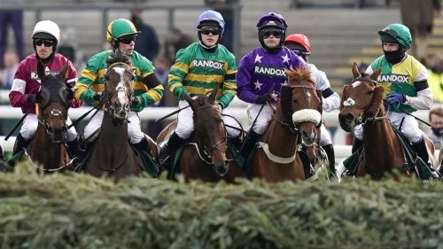 Grand National: How Many Horses Have Died Before The 2025 Race? Grand National: How Many Horses Have Died Before The 2025 Race?