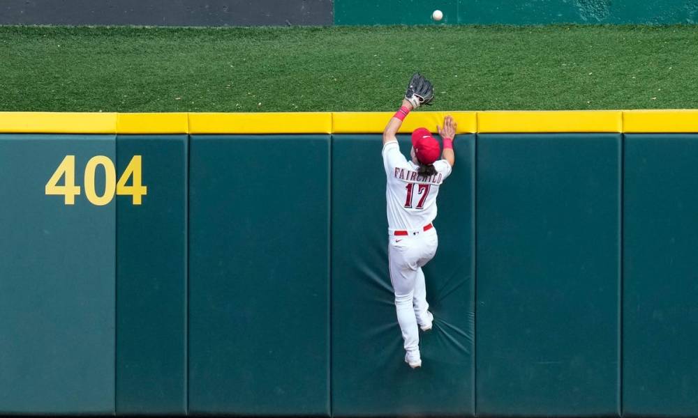 How William Contreras Fits Into The Brewers' Future How William Contreras Fits Into The Brewers' Future