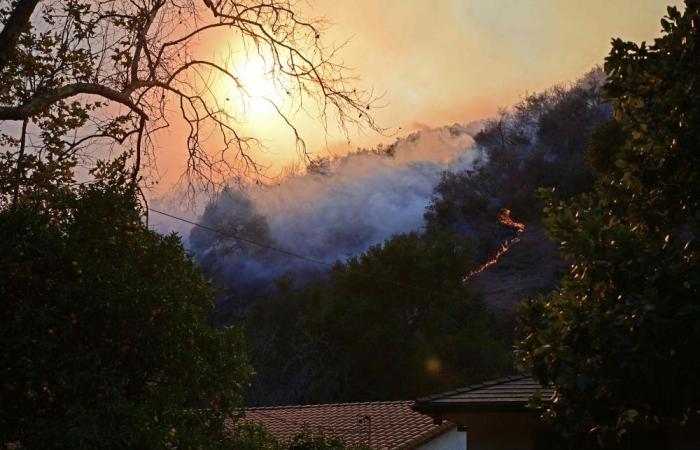 The Aftermath Of LA Fires:  Renters Face Price Gouging